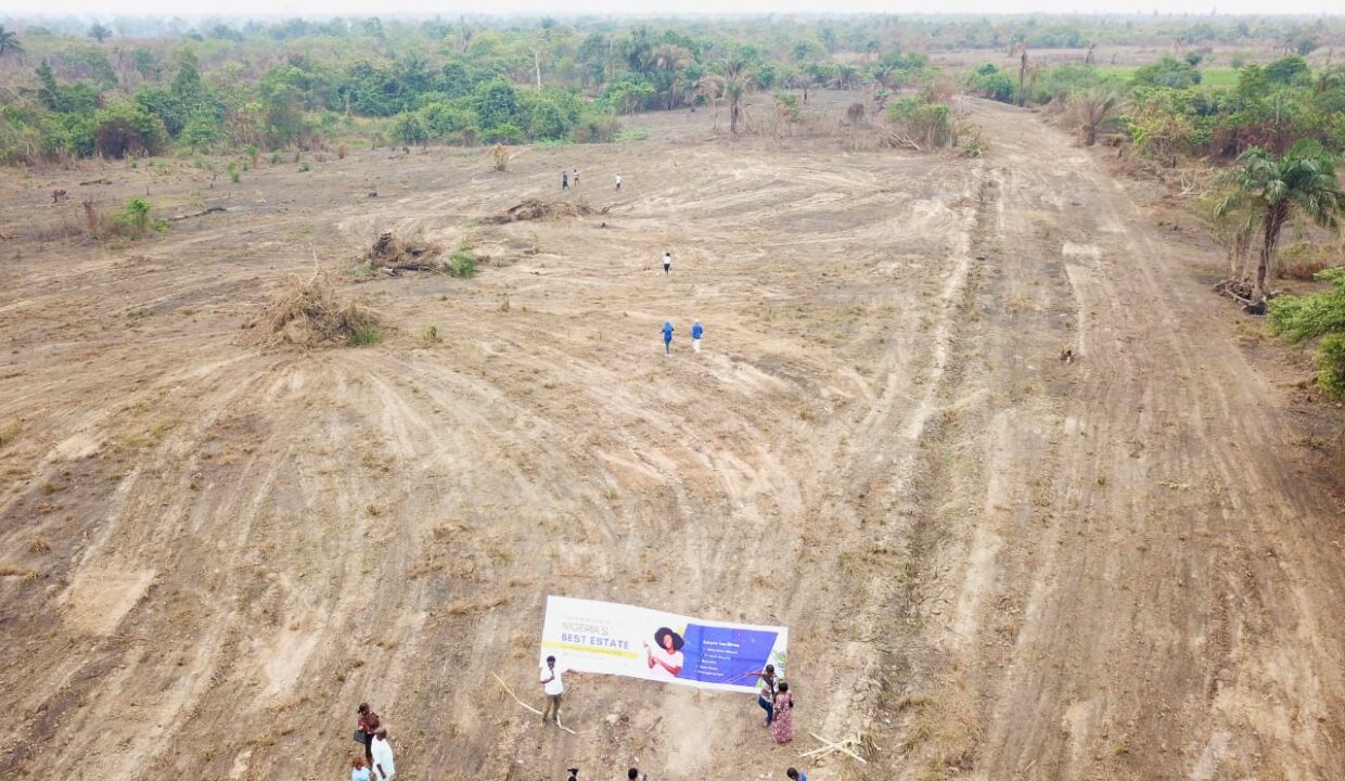 WhatsApp Image 2025-03-20 at 3.09.41 PM