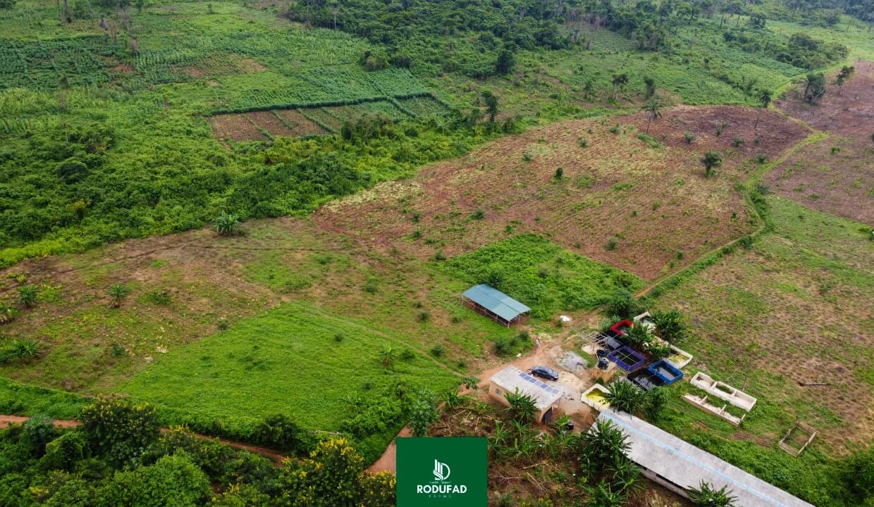 WhatsApp Image 2025-03-20 at 3.09.56 PM